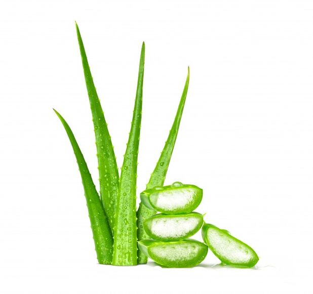 Aloe vera នៅក្នុង Men's Defence